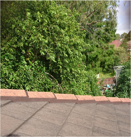 Picture of tree leaves with a red stone roof